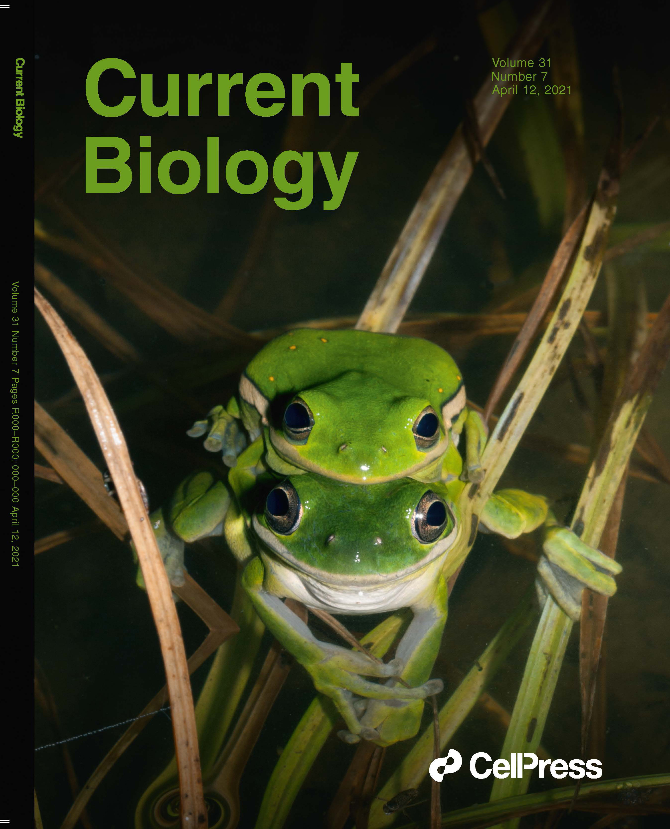 Cover Current Biology April 2021